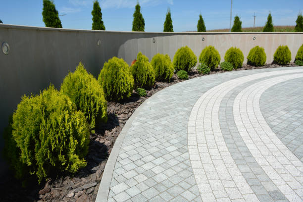 Best Interlocking Driveway Pavers  in Hale Center, TX